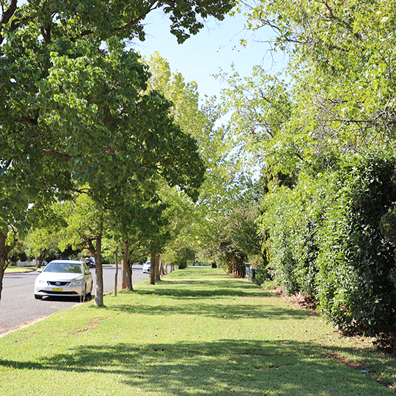 Parking Restrictions