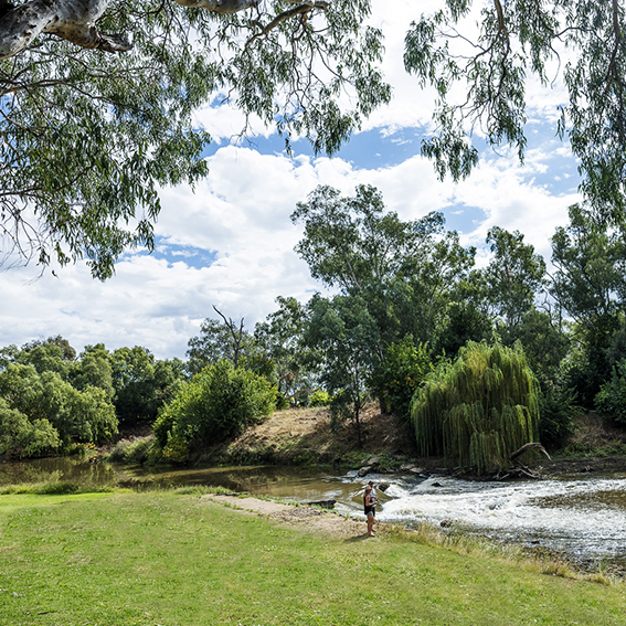 Apex Riverside Tourist Park