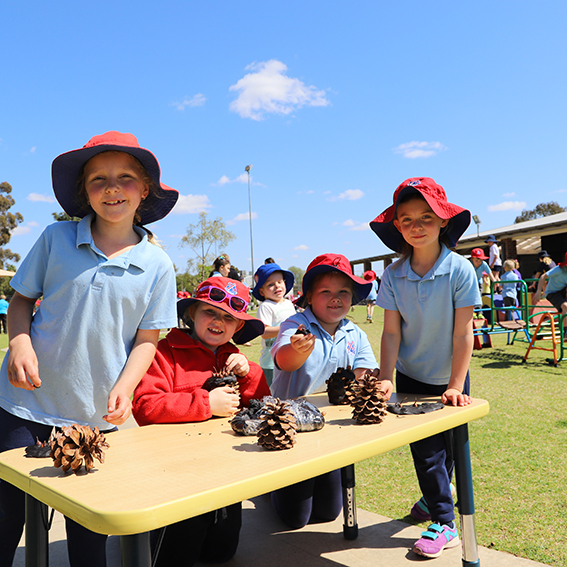 Childcare Facilities and Playgroups