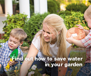 Save water in garden