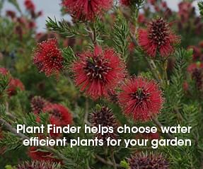 Plant Finder