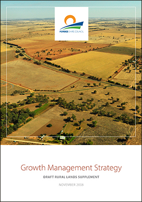 Growth Management Strategy