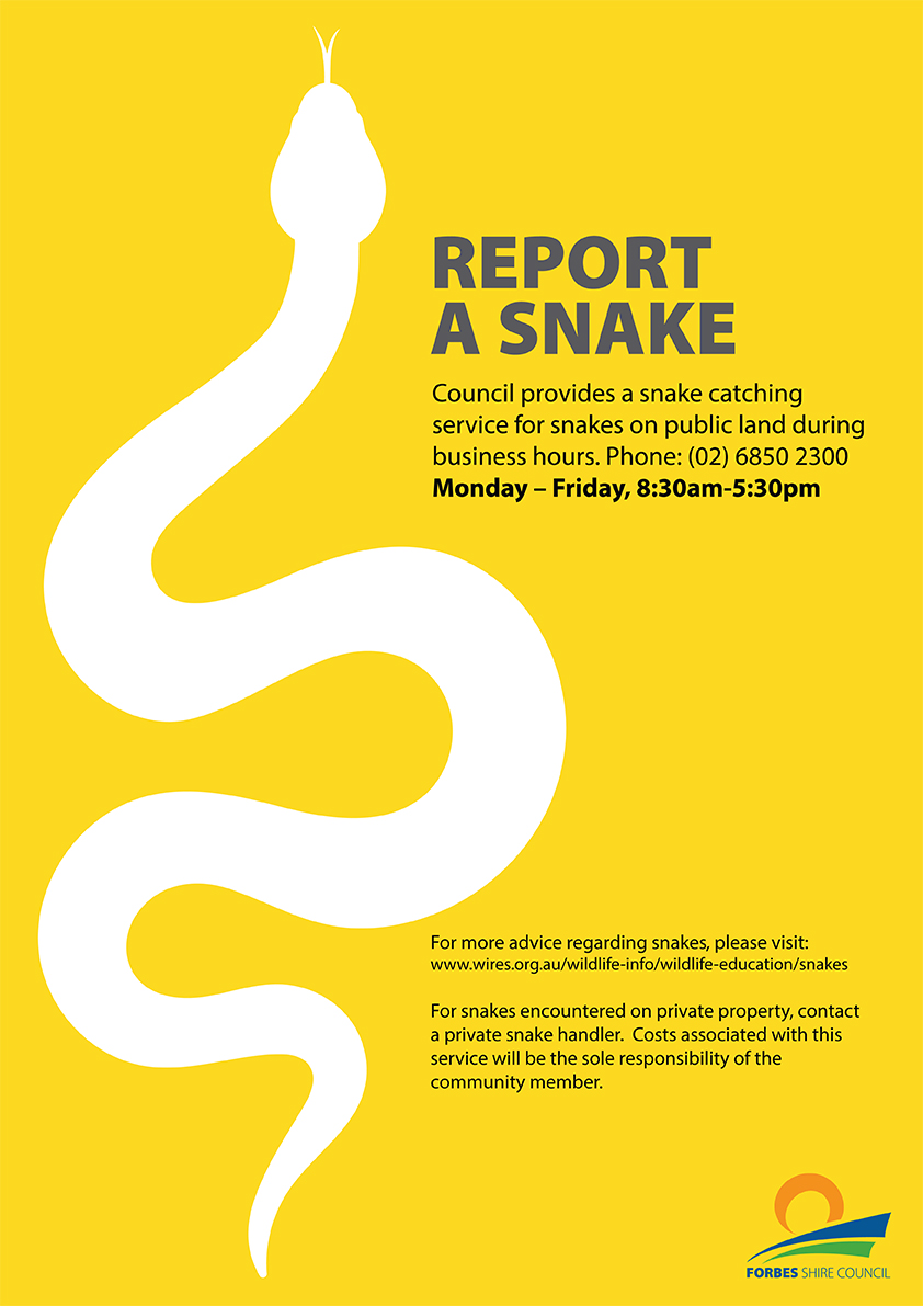 Snake Poster 3