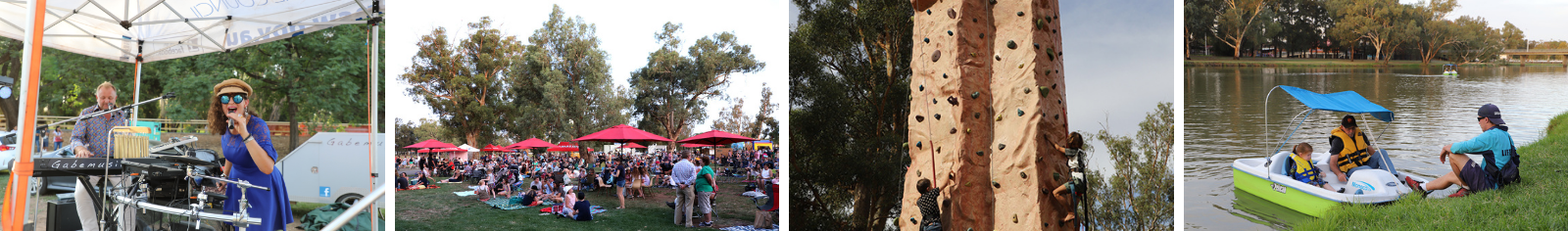 Party In the Park