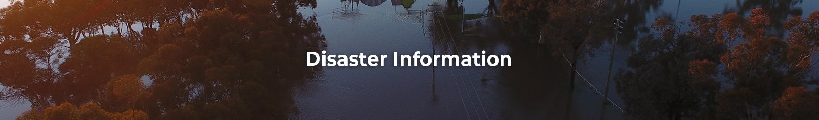 DisasterInformation-WebBanner